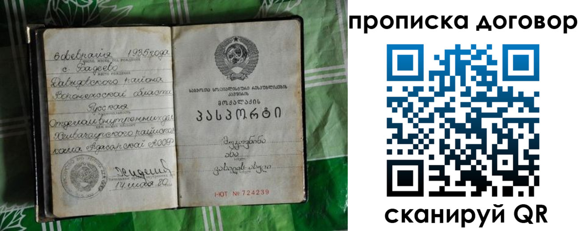 прописка в Пересвете